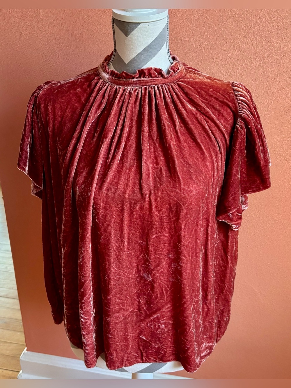 Trovata Rust Velvet Short Sleeve Blouse